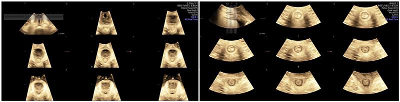 图片4.jpg 图片4.jpg